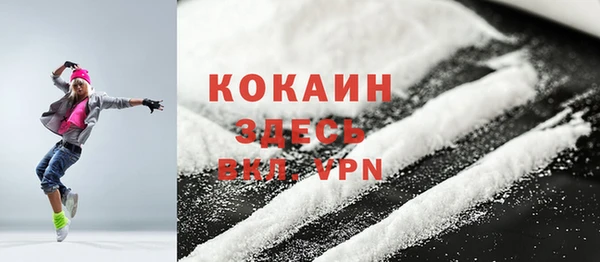 прущий лед Бородино
