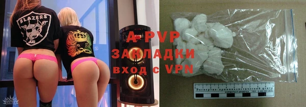 прущий лед Бородино