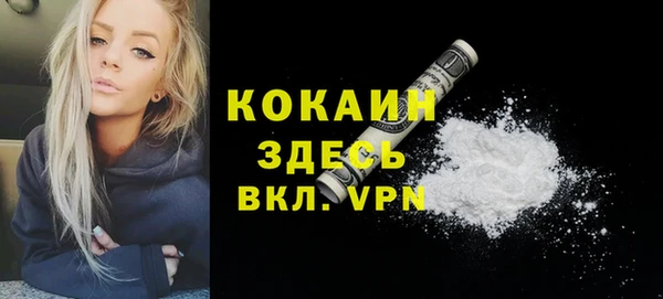 прущий лед Бородино