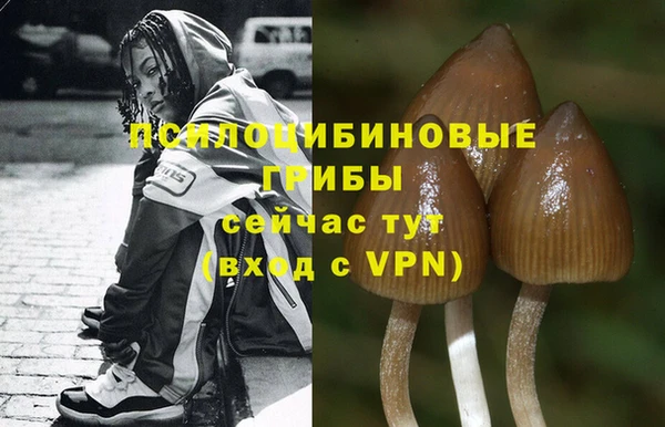 крисы Бугульма
