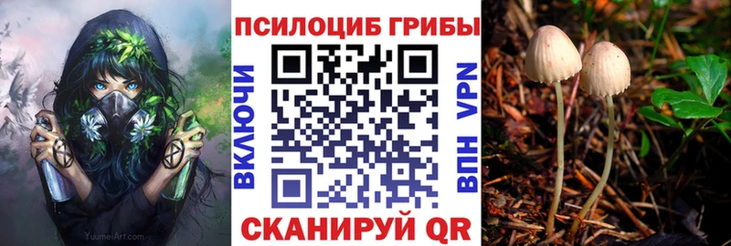 Галлюциногенные грибы мицелий  Вичуга 