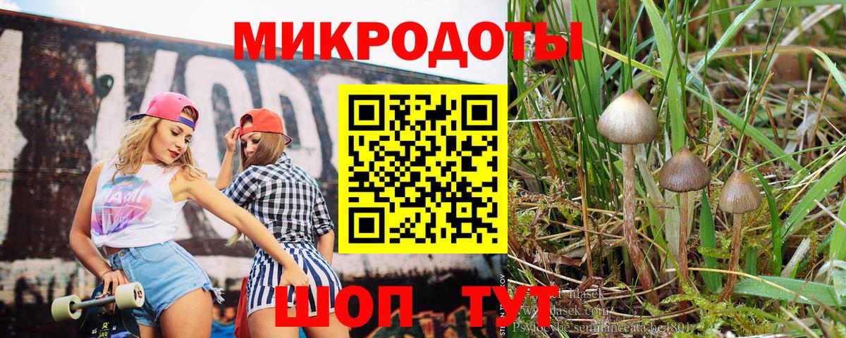 Галлюциногенные грибы MAGIC MUSHROOMS Вичуга