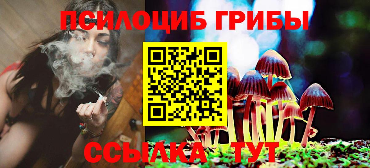 Галлюциногенные грибы Psilocybe  Вход с VPN  Вичуга 