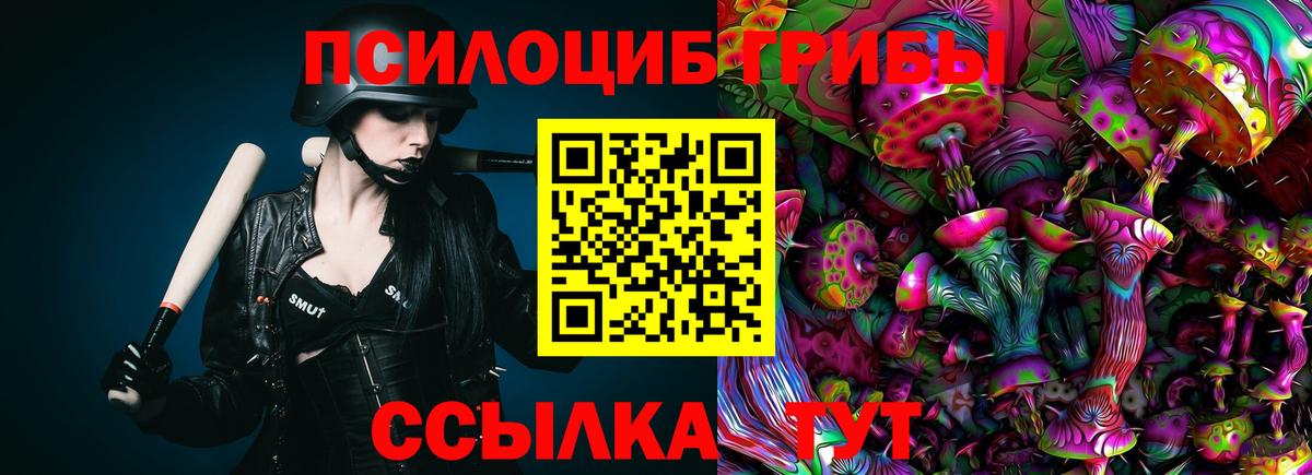 Галлюциногенные грибы прущие грибы  Вичуга 