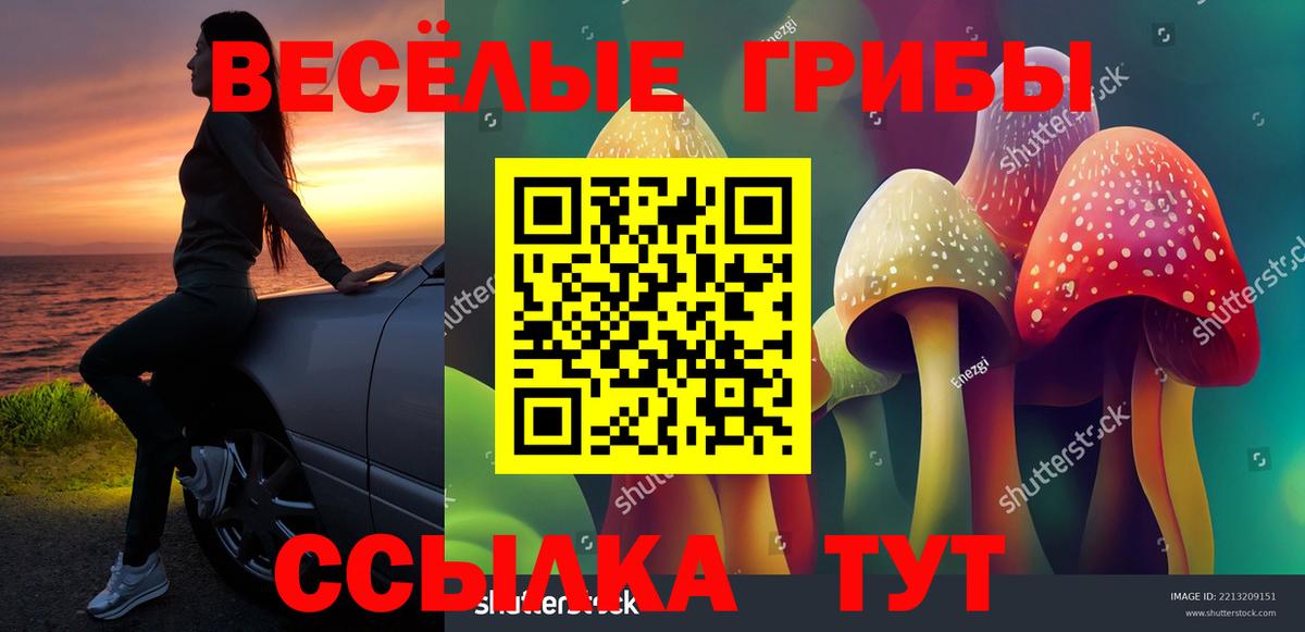 Галлюциногенные грибы Magic Shrooms Вичуга