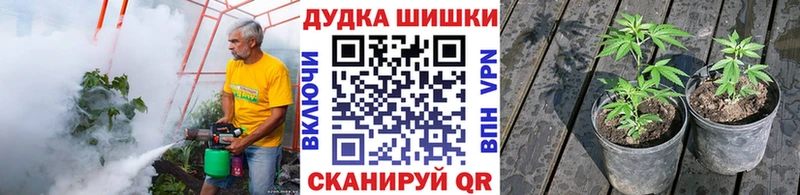 Марихуана Ganja  маркетплейс как зайти  Вичуга 