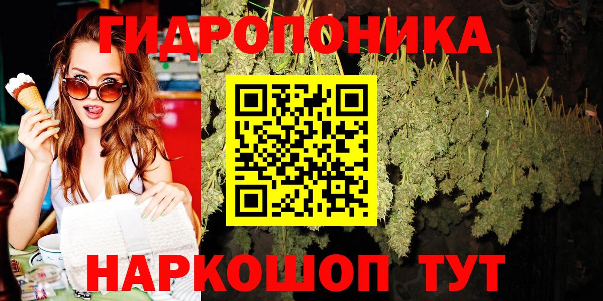 Канабис конопля Вичуга